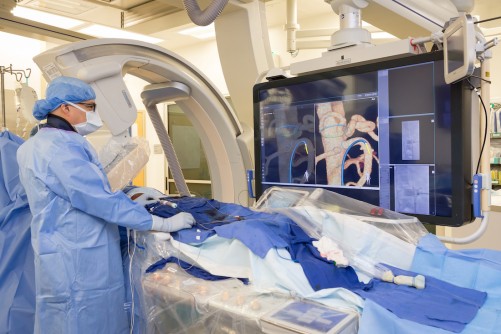Newswise: Safer imaging technology for complex aortic repairs uses light instead of X-rays
