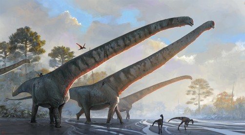 Newswise: New Fossil Analysis Reveals Dinosaur with Record-Holding 15-Meter-Long Neck

 