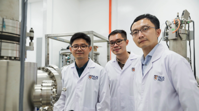 Newswise: Novel catalyst for green production of fine chemicals and pharmaceuticals 