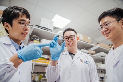 Newswise: NUS scientists develop innovative magnetic gel that heals diabetic wounds three times faster