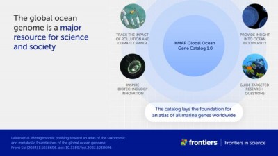 Newswise: Largest-ever study of ocean DNA has created essential catalog of marine life