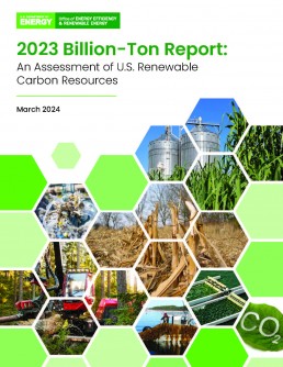 Newswise: Sustainable biomass production capacity could triple US bioeconomy, report finds