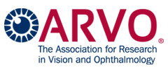 Association for Research in Vision and Ophthalmology (ARVO)