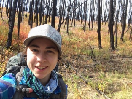 Newswise: Research Chronicles Forest Recovery After Montana’s 2017 Fire Season