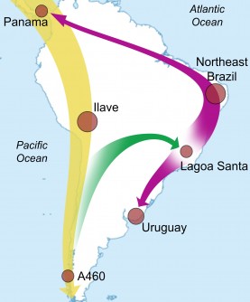 Newswise: Ancient DNA Analysis Sheds Light on the Early Peopling of South America 
