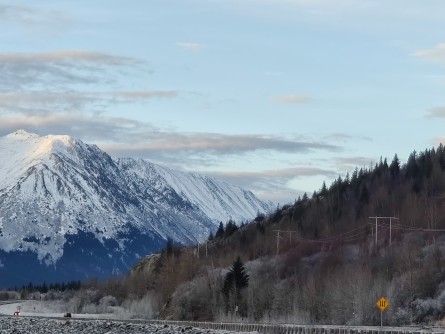Newswise: GW Researchers Lead Effort to Investigate Wildfire Resiliency in Alaska