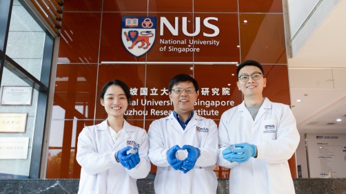 Newswise: NUS scientists develop plant-based cell culture scaffold for cheaper, more sustainable cultured meat