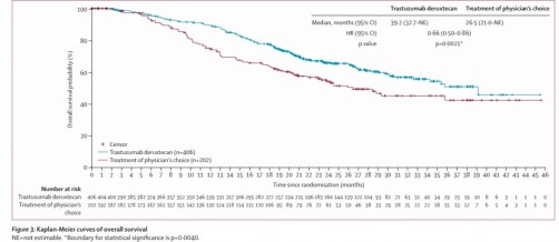 Newswise: New Study Shows Trastuzumab Deruxtecan Improves Survival for Patients with HER2-positive Metastatic Breast Cancer
