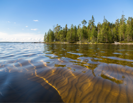 Newswise: Slits from a small lake in Karelia may be beneficial to people