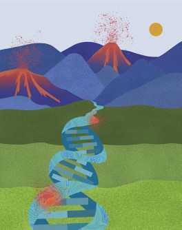 Newswise: Topography of the genome influences where cancer mutations thrive, study shows 