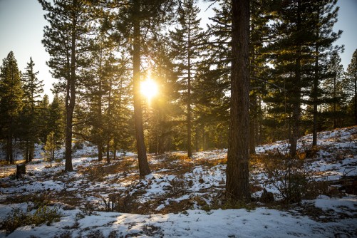 Newswise: Fall snow levels can predict a season's total snowpack in some western states