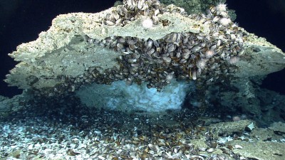 Newswise: Novel bacterial proteins from seafloor shine light on climate and astrobiology