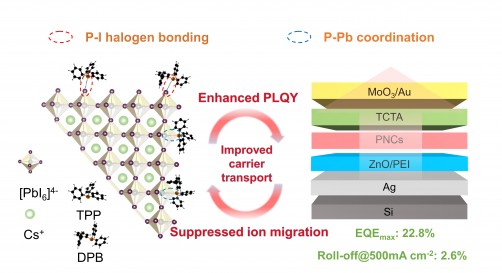 Newswise: Enrichment of anchoring sites by introducing supramolecular halogen bonds for the efficient perovskite nanocrystal LEDs