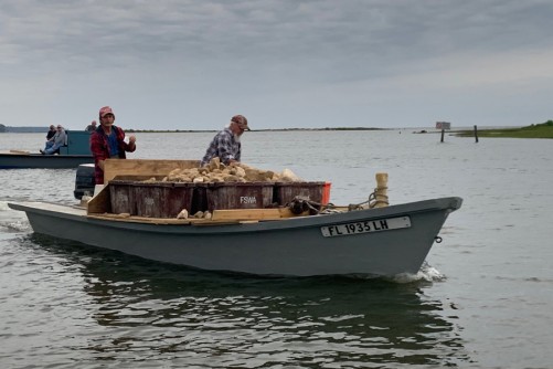 Newswise: An ecosystem roadmap: Apalachicola Bay System Initiative Community Advisory Board’s recommendations provide guide to sustainable fishery