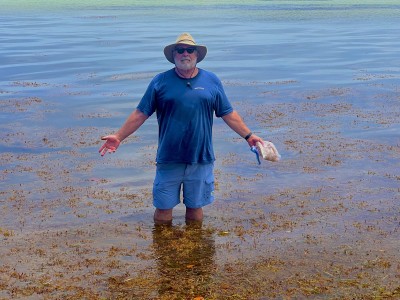 Newswise: FAU Lands $1.3 Million Grant to ‘Clean Up’ Stinky Seaweed in Florida