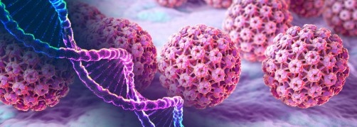 Newswise: Researchers Identify New Genetic Risk Factors for Persistent HPV Infections
