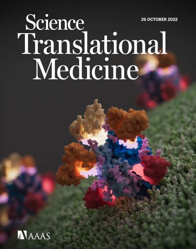 This Science Translational Medicine cover image from the Saphire Lab shows three antibodies in red, orange, and yellow targeting distinct epitopes on the Lassa Virus (LASV) glycoprotein complex (GPC, blue). The virion surface is shown in green.