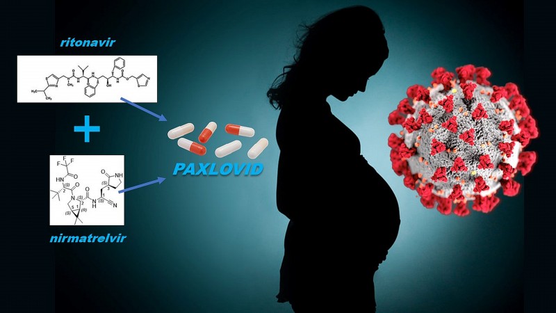 According to a new study by Johns Hopkins Medicine researchers, Paxlovid — a combination of two drugs — can safely be used to reduce the risk of severe COVID-19 from SARS-CoV-2 infection in a person who is pregnant.